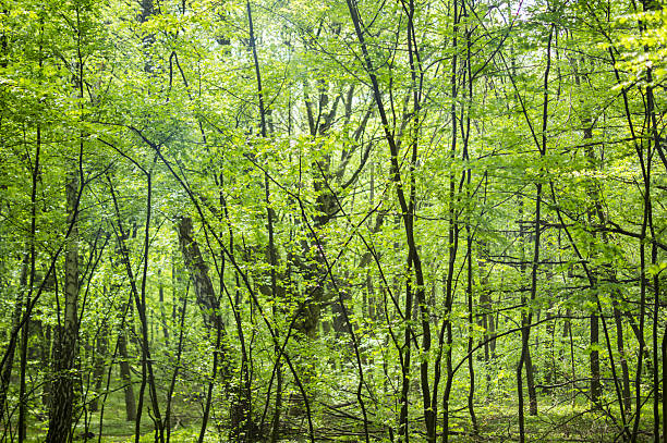 Temukan Keajaiban Tersembunyi: 5 Tempat Wisata Kyiv yang Belum Banyak Diketahui!