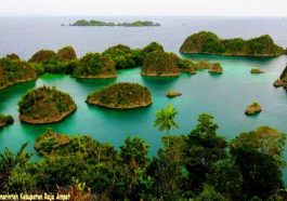 Raja Ampat tambang