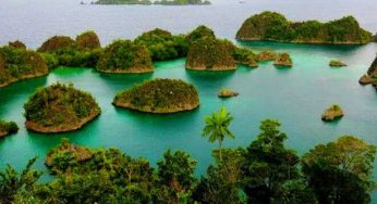 Eksploitasi Nikel: PT GAG Milik Antam Beroperasi di Raja Ampat