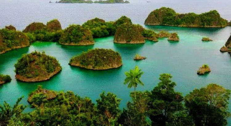 Raja Ampat tambang