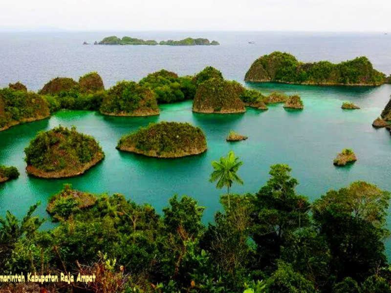 Raja Ampat tambang