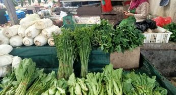 Membandingkan Harga Sayur di Pasar Tradisional dan Supermarket