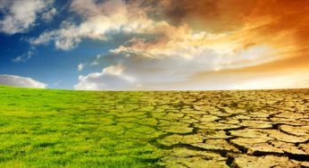 Teknologi untuk Perubahan Iklim Upaya Global yang Nyata