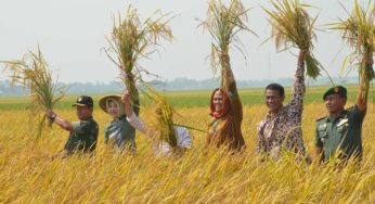 PBB Luncurkan Program Pemberdayaan Petani di Negara Berkembang