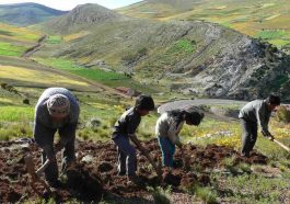 Perubahan iklim global