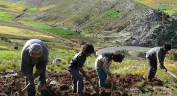 Perubahan Iklim Global Seluruh Dunia dan Dampaknya pada Negara Berkembang