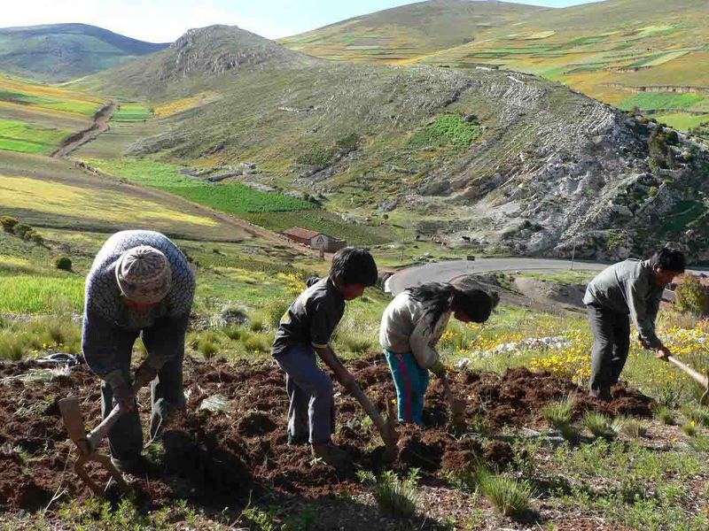 Perubahan iklim global
